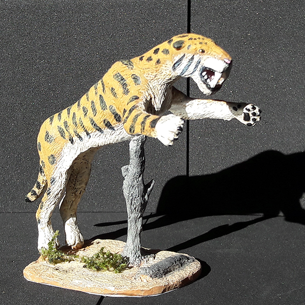 Miniatura de Machairodus, tigre dientes de sable