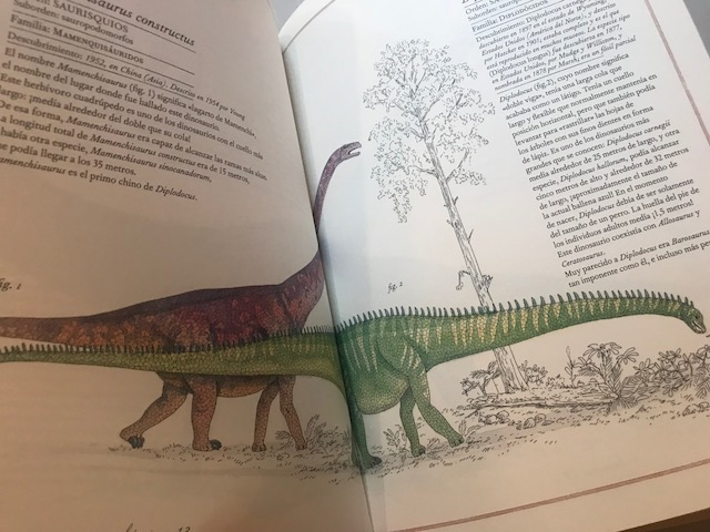 Inventario ilustrado de dinosaurios. Un inventario lleno de novedades para sorprenderse, maravillarse y redescubrir a los dinosaurios. 
