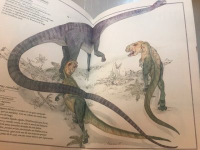 Inventario ilustrado de dinosaurios. Un inventario lleno de novedades para sorprenderse, maravillarse y redescubrir a los dinosaurios.