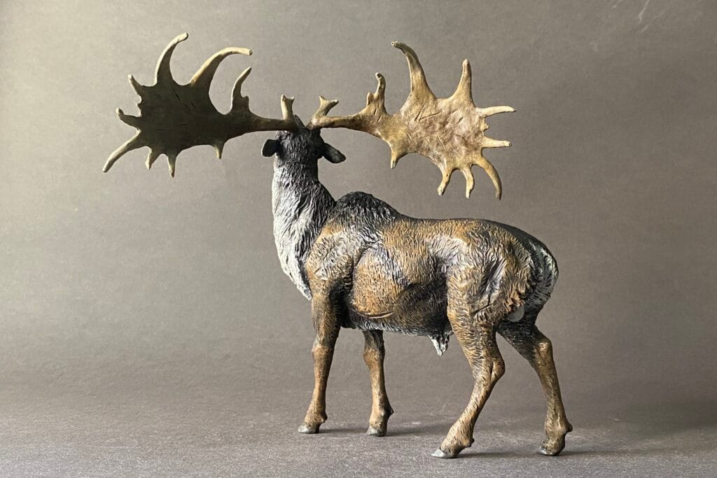 Megaloceros giganteus. El alce irlandés, ciervo gigante o megalocero