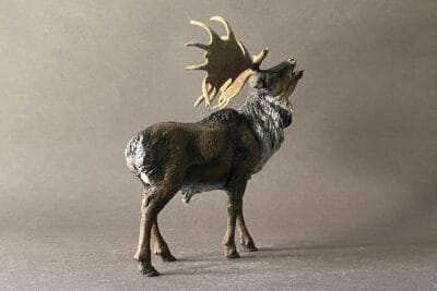 Megaloceros giganteus. El alce irlandés, ciervo gigante o megalocero
