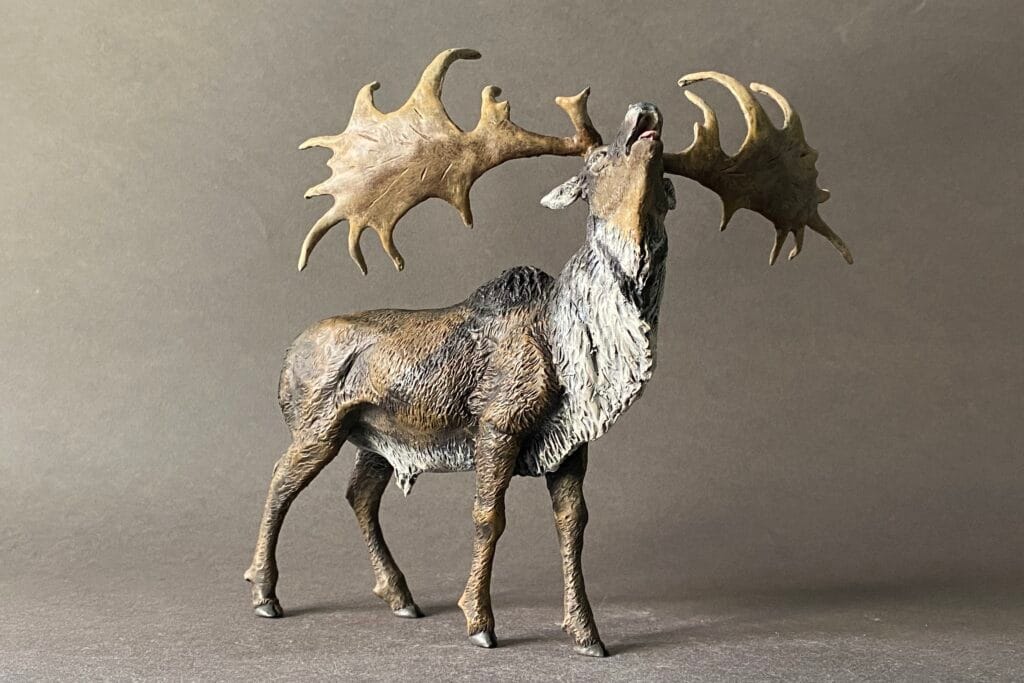 Megaloceros giganteus. El alce irlandés, ciervo gigante o megalocero
