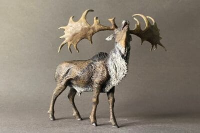 Megaloceros giganteus. El alce irlandés, ciervo gigante o megalocero