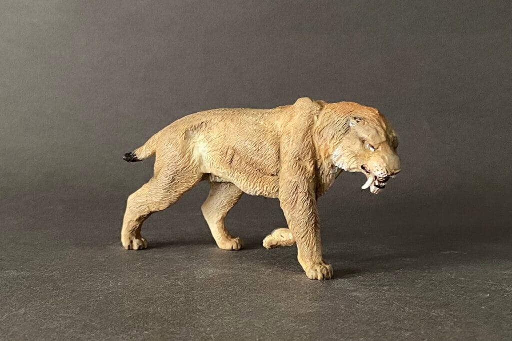 Smilodon populator