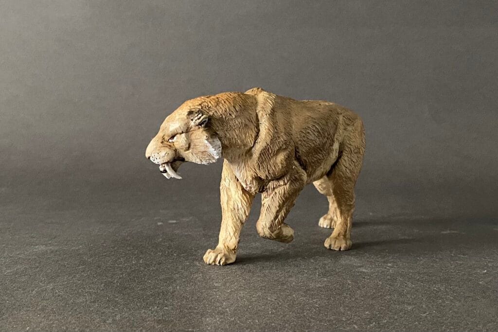 Smilodon populator