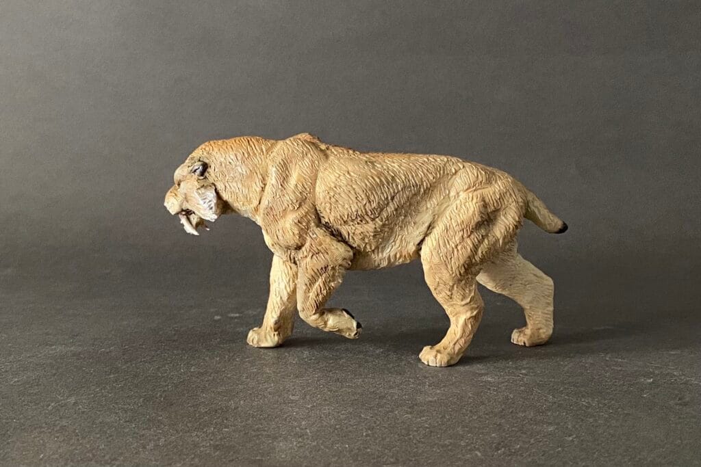 Smilodon populator