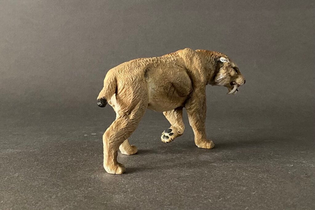 Smilodon populator