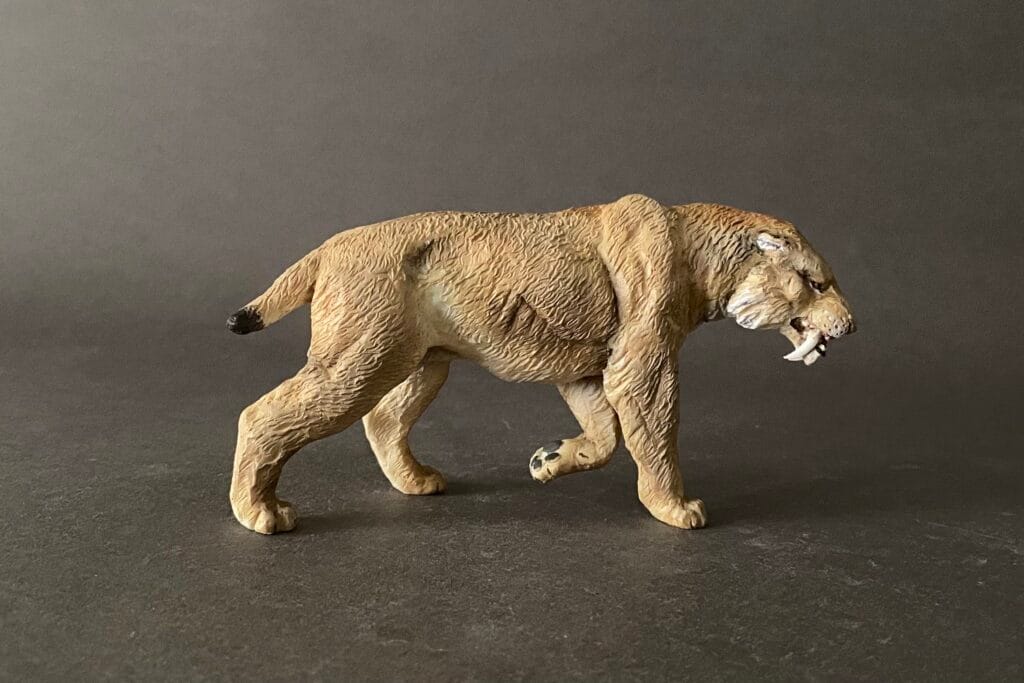 Smilodon populator