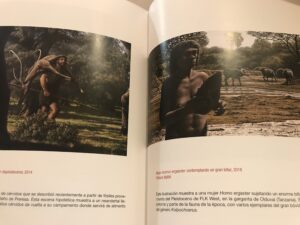 Mauricio Antón: Arte y Paleontología. Catálogo de la exposición.