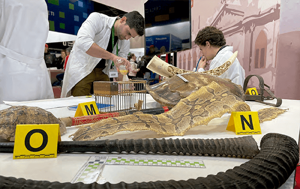Curso de Arqueología Forense