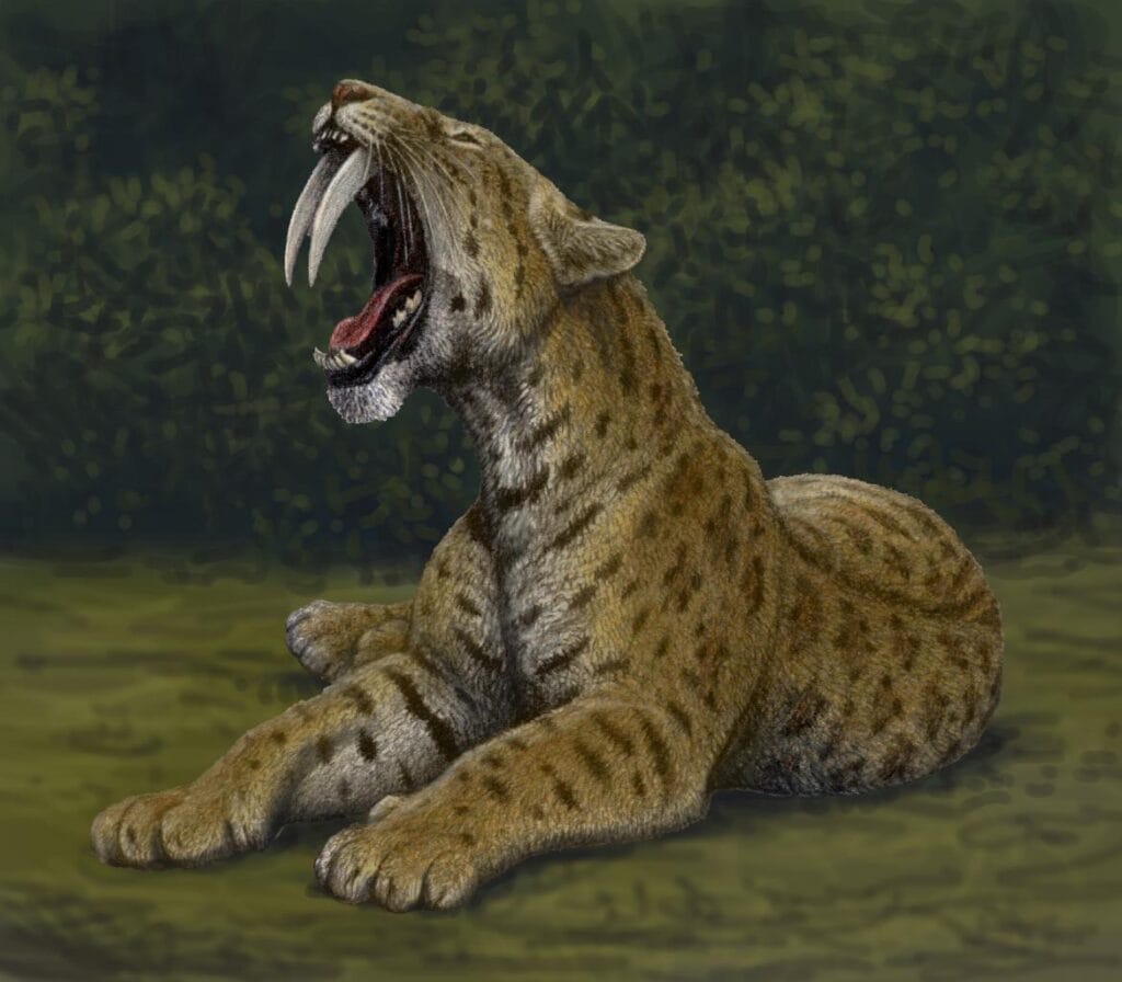 DIENTES DE SABLE, ESTUDIOS ENTORNO A LA EXPOSICIÓN