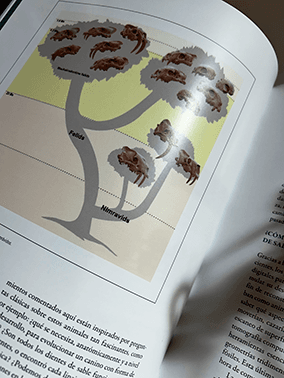 DIENTES DE SABLE, ESTUDIOS ENTORNO A LA EXPOSICIÓN - Imagen 4